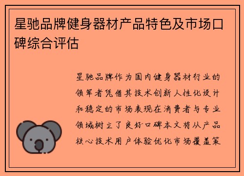 星驰品牌健身器材产品特色及市场口碑综合评估